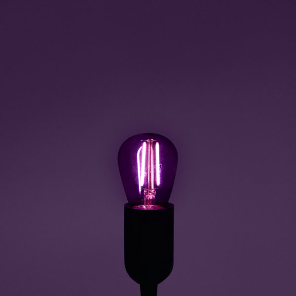 Luxrite 24 Pack S14 Edison LED Purple Light Bulbs 0.5W Coloured